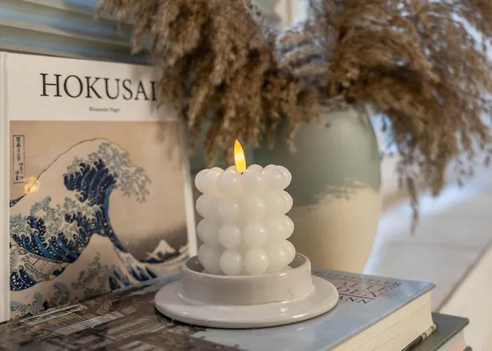 Appartement Ruheoase Fuer Langzeitaufenthalte Dresden